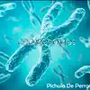 Pichula De Perro - Cromosomos - Single